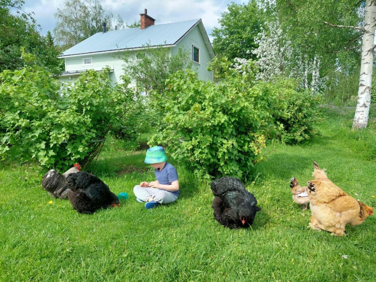 Vila Kivirannan Tupa Ylivieska Exteriér fotografie