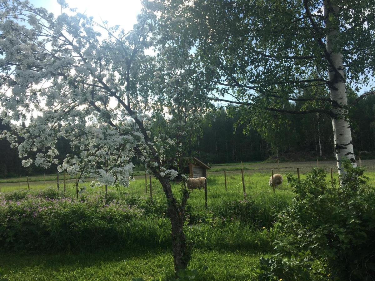 Vila Kivirannan Tupa Ylivieska Exteriér fotografie
