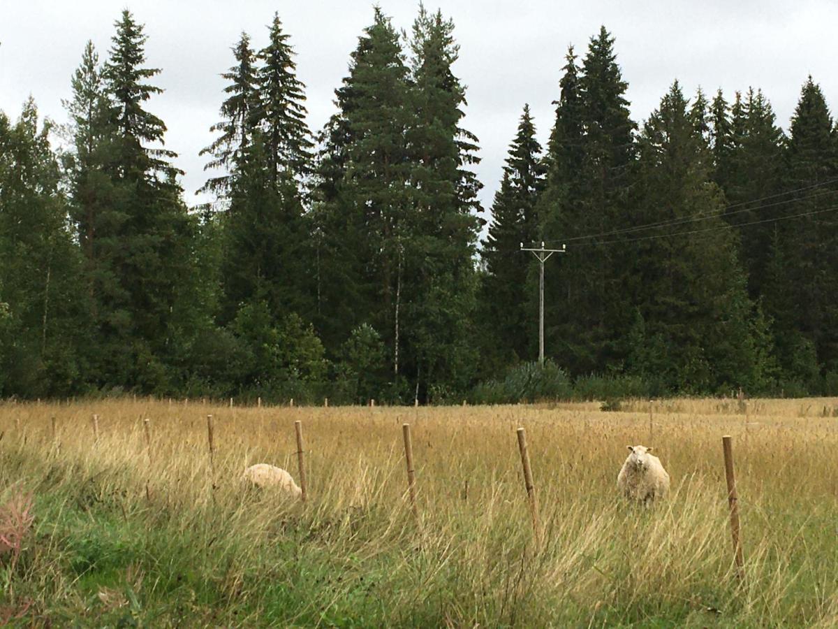 Vila Kivirannan Tupa Ylivieska Exteriér fotografie